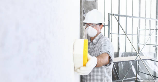 Best Mold Prevention Services in Oradell, NJ