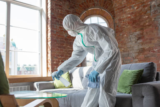 Oradell, NJ Mold Removal Company