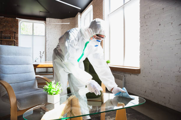 Why You Should Choose Our Mold Remediation Services in Oradell, NJ